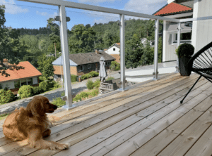 White aluminium glass balustrade around corner balcony with timber floor and leafy suburban neighbourhood views.